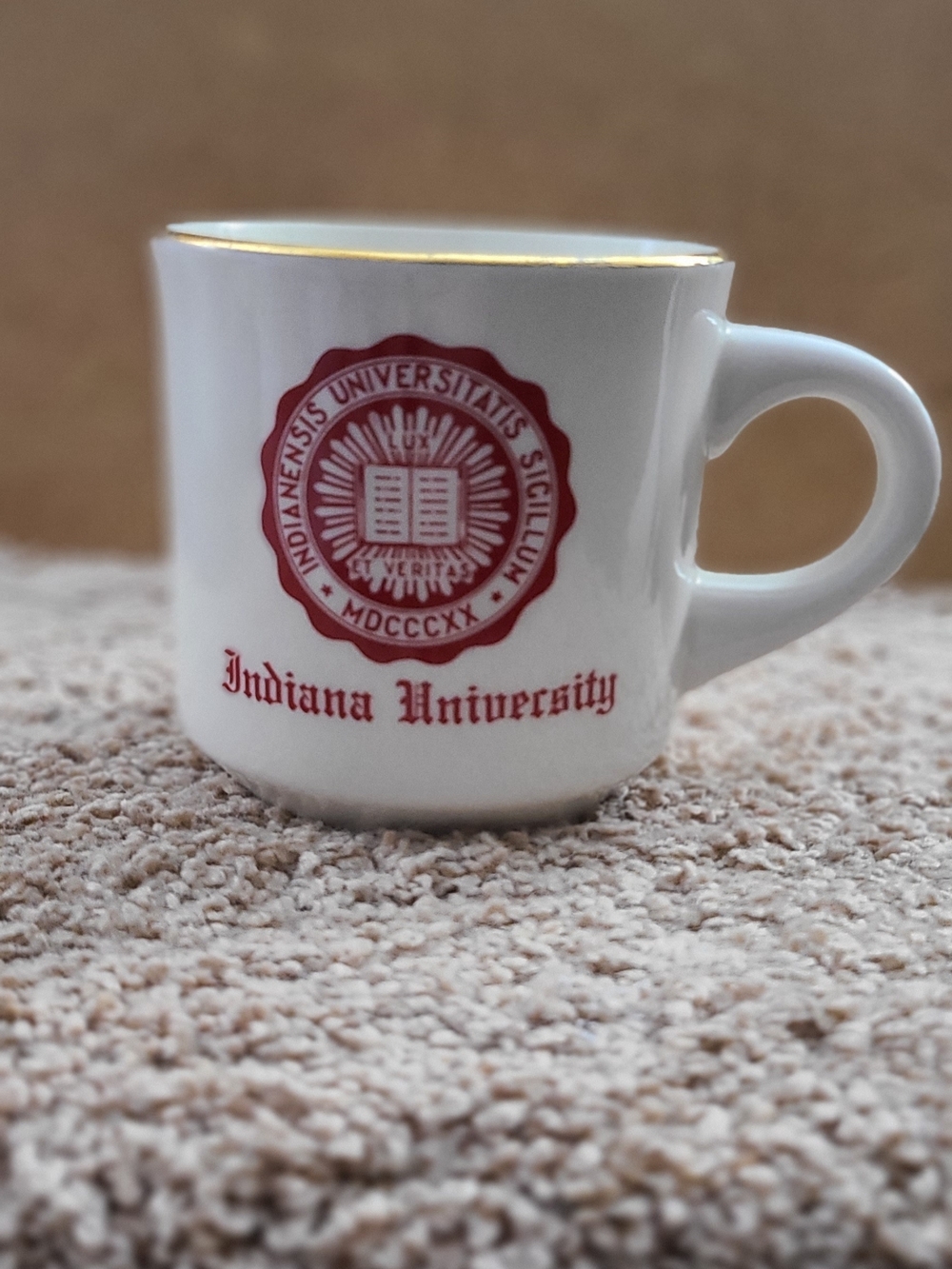 Vintage Indiana Hoosiers IU University 1980s Gold Rimmed Coffee Cup Mug